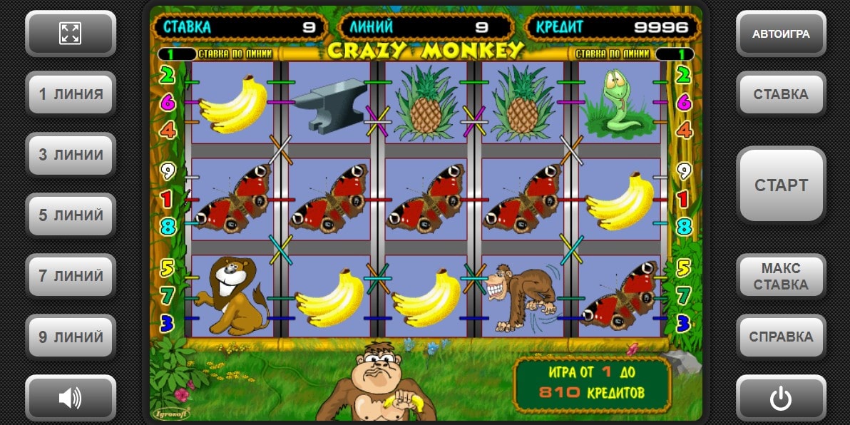 Crazy Monkey, слоти ігрові автомати казино, назва